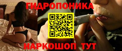 прущие крисы Заводоуковск