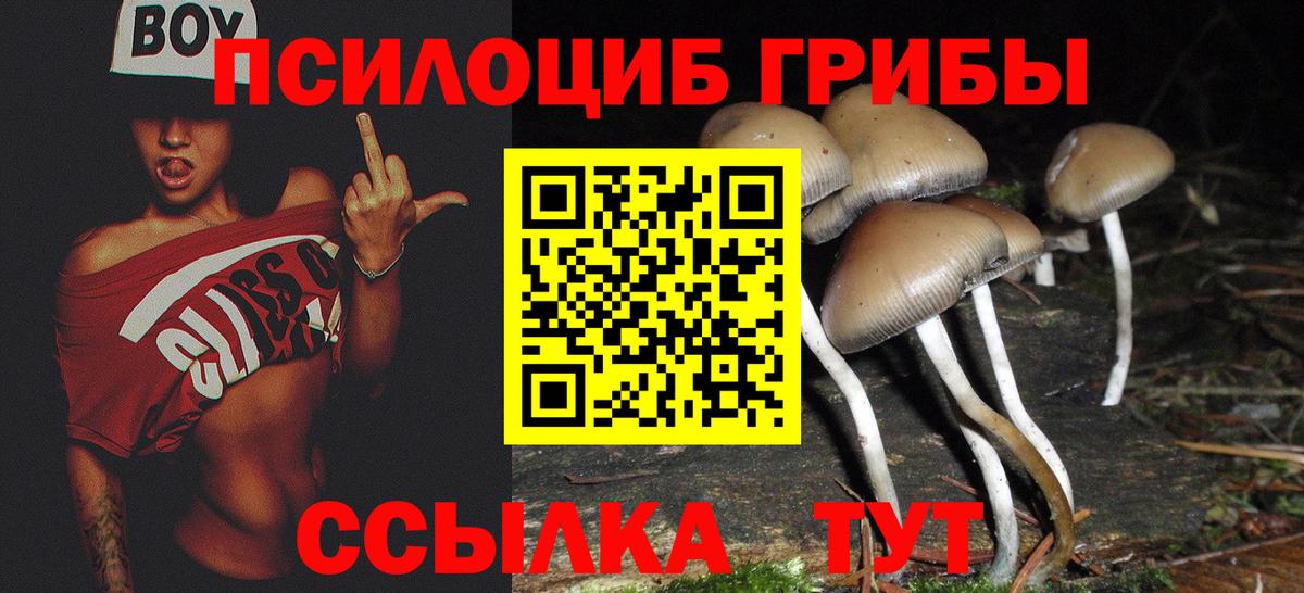 Галлюциногенные грибы ЛСД  Псилоцибиновые грибы прущие грибы  Курчатов  Вход с VPN 
